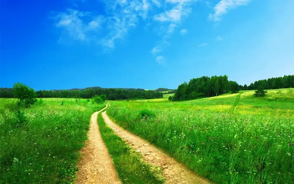 Navigating Career Transitions in Your 30s